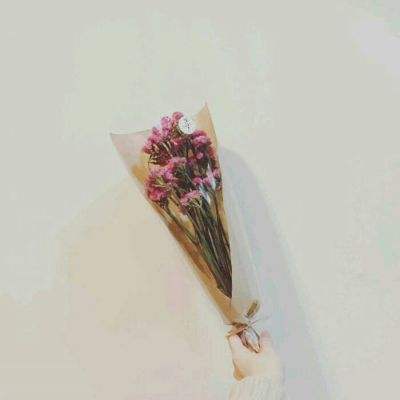 王牌御史变态版下载